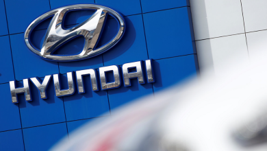 Hyundai and AAA Join Forces to Insure High Theft Risk Cars Amid TikTok Trend
